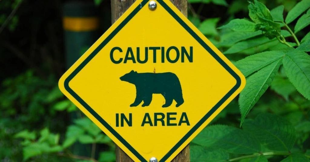bear in area sign