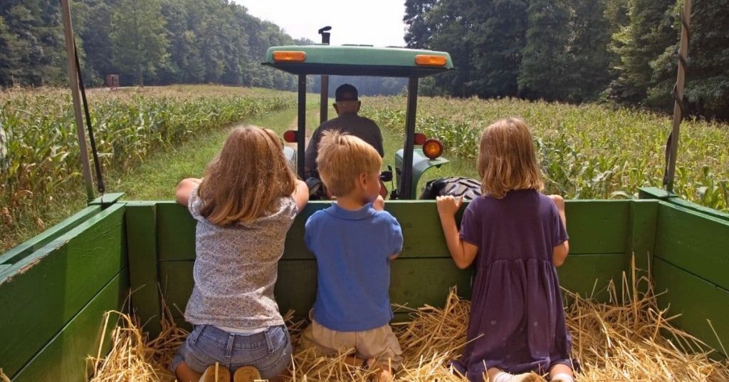 children on a hayride