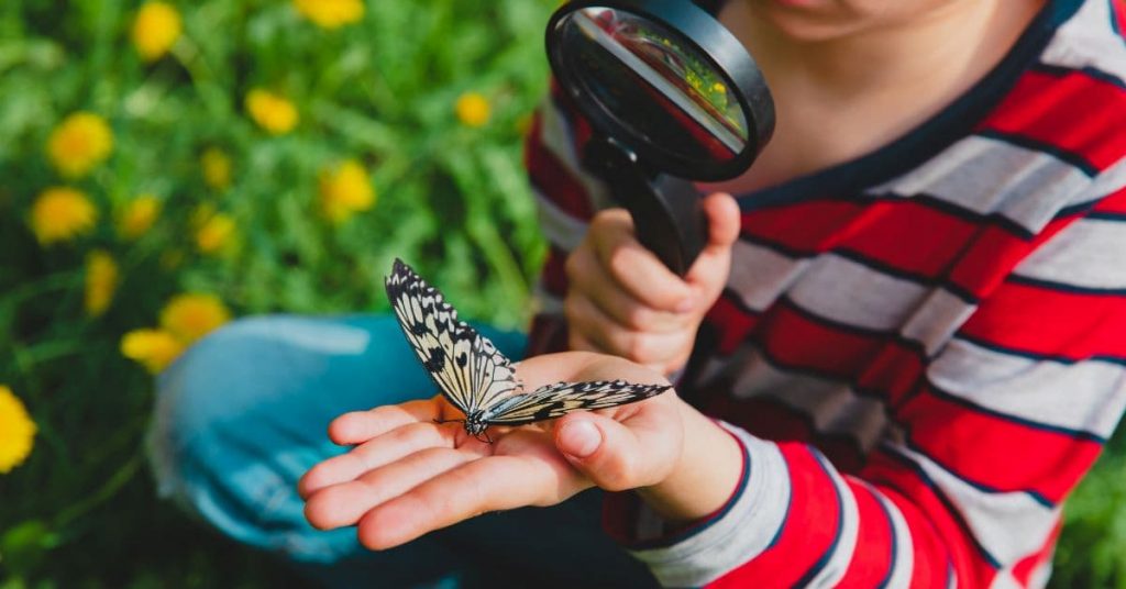 child looking through a magnifying glass at a butterfly