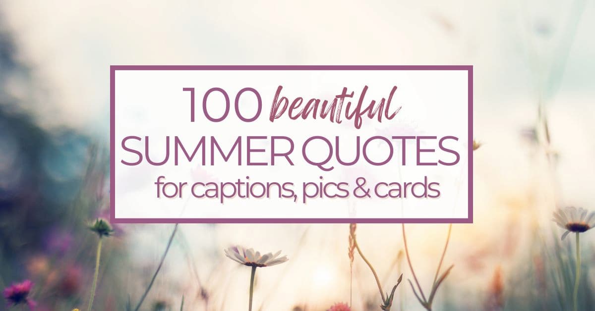 beautiful summer quotes
